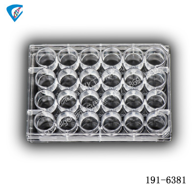 24孔带盖细胞培养板，贴壁，平底，，透明，单个灭菌包装